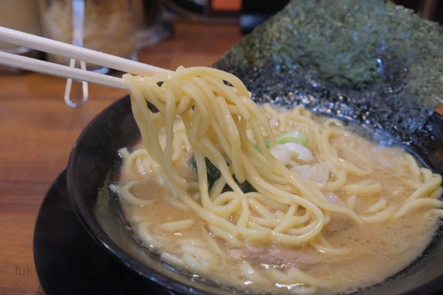 横浜家系ラーメン 風神家 福井本店【閉店】 料理の写真（2018年11月10日）