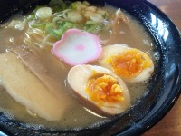 味玉中華蕎麦のスープと具