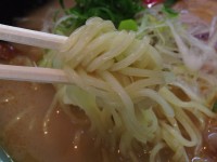 源　西開発店　とんこつらーめん　麺