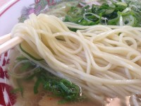 ストレート麺と具