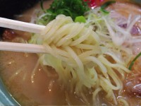 とんこつらーめん　麺とスープ