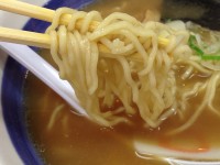 中華麺　麺　8番らーめん 福井大学前店
