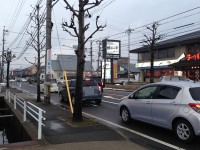 雅　道路沿い 2013年2月