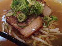 鶏塩ラーメン　スープと具　らーめん世界 福井運動公園店