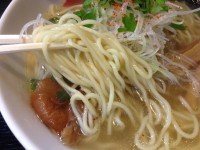 梅塩らーめん　ウェーブ中太麺