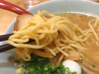 ストレート太麺