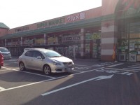 ワイプラザ福井南店