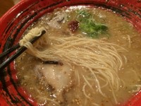 ストレート細麺　博多の虎 とんこつラーメン