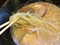 ストレート麺　鶏白湯ソバ塩